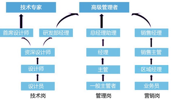 员工发展通道